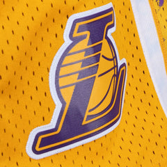 Mitchell & Ness Men NBA Los Angeles Lakers Team Marble Swingman Short Purple PFSW1279LAL09PL